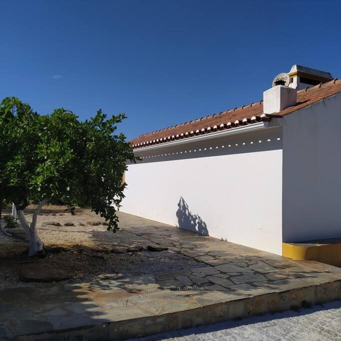 雷东多Casa Do Forno Evora Retreat别墅 外观 照片