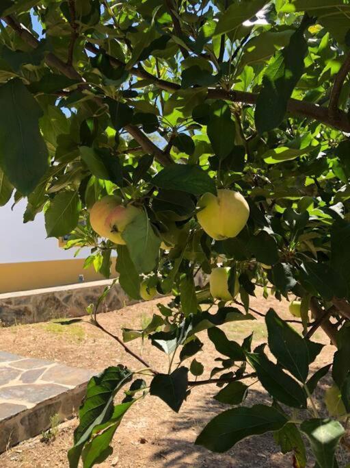 雷东多Casa Do Forno Evora Retreat别墅 外观 照片