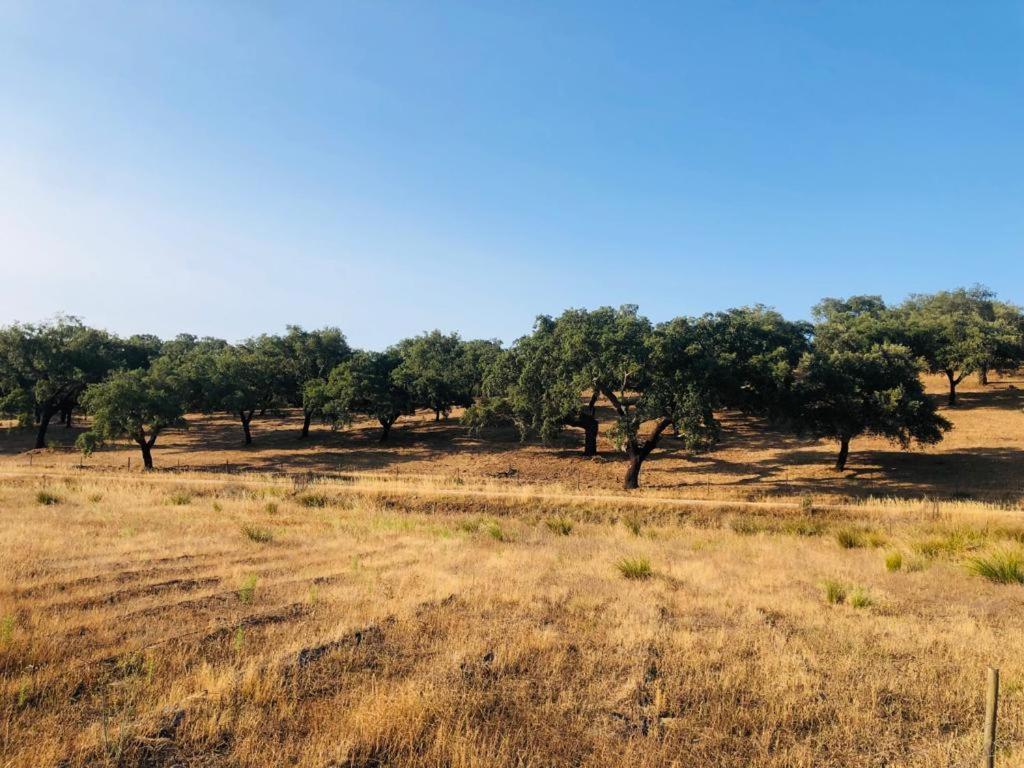 雷东多Casa Do Forno Evora Retreat别墅 外观 照片