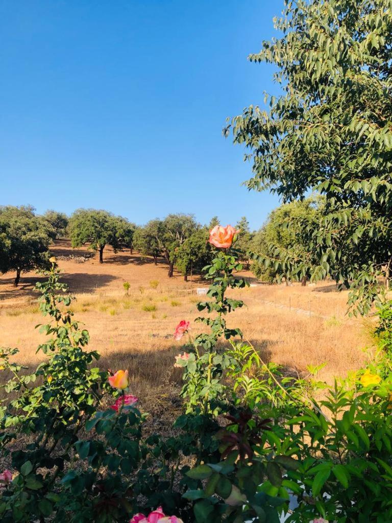 雷东多Casa Do Forno Evora Retreat别墅 外观 照片